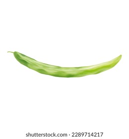 Green Bean Isolated Hand Drawn Painting Illustration