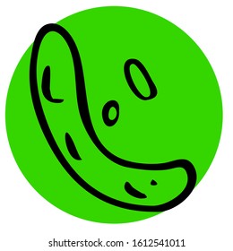 Green bean in vintage style. Simple vector on isolated background. Suitable for icons and banners. Bean pod in vector format.