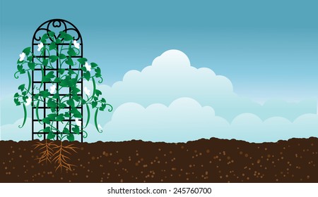 Green beans in the garden background with copy space EPS 10 vector royalty free stock illustration
