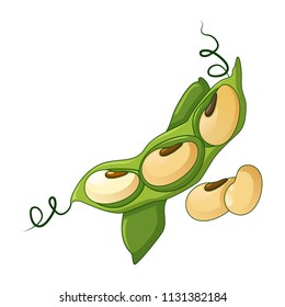 Green beans icon. Cartoon of green beans vector icon for web design isolated on white background