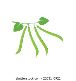 Green beans illustration template vector
