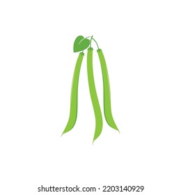 Vector de plantilla de ilustración de granos verdes