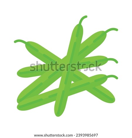 Green beans vector design, pods, haricot verts, healthy and organic vegetables