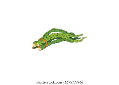 Green Beans Vector Illustration Of Vegetable