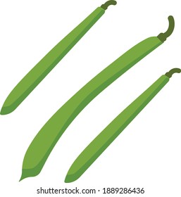 Green Beans Vegetable Concept Illustration 