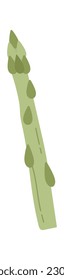 Green Beans Vegetable Vector Illustration
