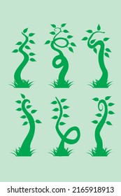 green beanstalk design vector modern illustration