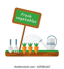 Green bed with vegetables, watering can and garden tools. Fresh market sign logo. Flat vector cartoon illustration. Objects isolated on a white background.