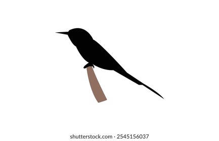 Green Bee Eater Silhouette Design  And Vector Illustration. 