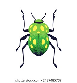 Green beetle. Bug icon, above top view. Fauna species with antenna, legs. Summer animal, wild insect with spotted wings. Flat vector illustration isolated on white background