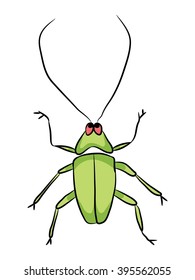 green beetle with a mustache