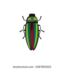 Green beetle on a white background. Vector graphics