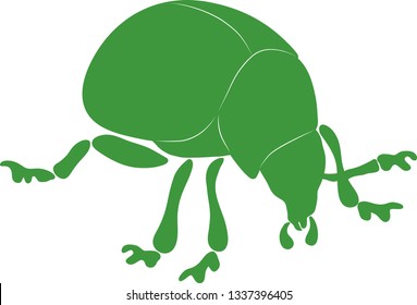 Green beetle silhouette vector illustration