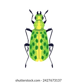 Green beetle. Spotted bright bug icon, top view. Small fauna species. Summer animal, wild insect with spotty wings from above. Flat vector illustration isolated on white background