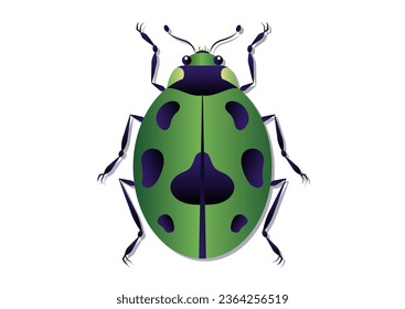 Green Beetle Vector Art. Green Ladybug Clipart Isolated on White Background