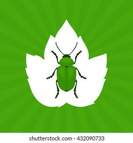 Green Beetle Vector Illustration