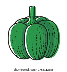 Green bell pepper isolated on white background. Vector illustration of vegetable.