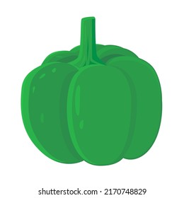 Green bell pepper isolated on white background. Vector illustration of vegetable.
