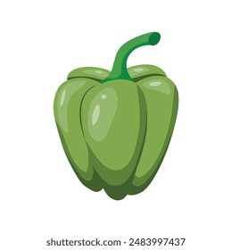 Green bell pepper isolated on white background. Vector illustration