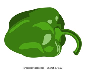 Green bell pepper isolated on white background. Single tasty bell pepper in Hand Drawn Cartoon style. Vector illustration.