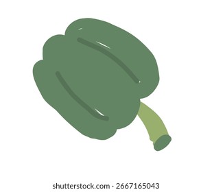 Green bell pepper isolated on white background. Vegetable illustration. Organic food and healthy nutrition concept