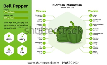 Green bell pepper and its nutritional properties -Vector illustration