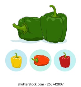 Green bell pepper  on white background,set of three round colorful icons, orange,red and yellow sweet pepper, icon capsicums ,vector illustration
