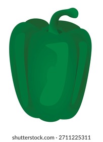Green bell pepper on white background, vector	
