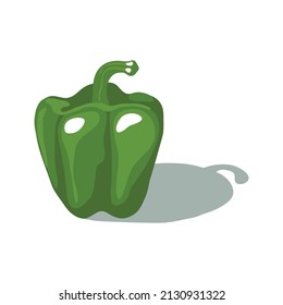 Green bell pepper vector illustration isolated