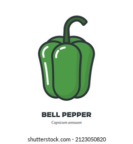 Green bell pepper vegetable icon, outline with color fill style vector illustration