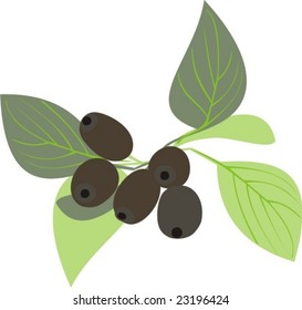 green berries