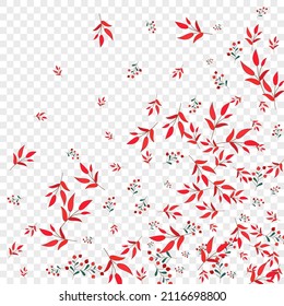 Green Berries Background Transparent Vector. Foliage Silhouette Template. Pink Rowan. Red Leaf Tree. Symbol Set.