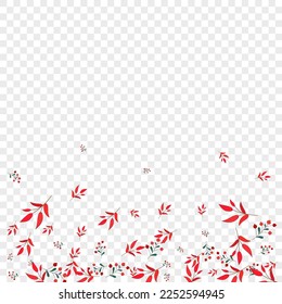 Green Berries Background Transparent Vector. Rowan Simple Card. Red Foliage. Burgundy Herb Symbol. Poster Template.