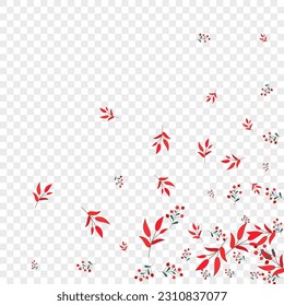 Green Berries Background Transparent Vector. Leaves Wood Template. Burgundy Foliage. Red Herb November. Collection Design.