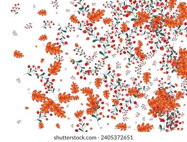 Green Berries Background White Vector. Rowan Elm Set. Pink Foliage October. Dry Design. Herb Decor.