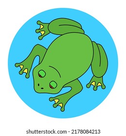 green big frog in the swamp top view. flat vector illustration.