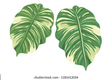 green big leave
