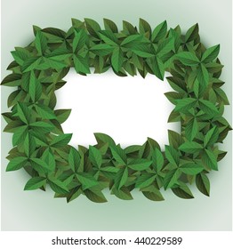 green big leaves frame