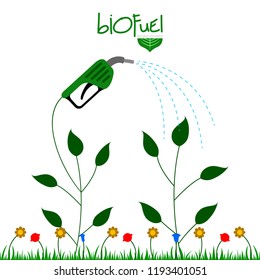 Green biofuel concept image. Vector illustration design