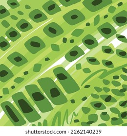 Green biology leaf cells inspired shape abstract background vector wallpaper isolated on square template. Simple and flat science backdrop for social media post, poster, brochure paper prints, scarf.