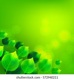 Green birch leaves whirl background. Vector illustration.