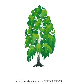 Green Birch tree vector illustration logo design