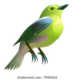 green bird