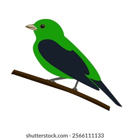 green bird flat vector illustration clipart isolated on white background