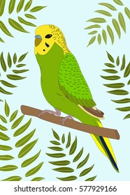 
Green bird in leaves. Small cute parrot. Summer vector background with parrot.Budgerigar australian parakeet