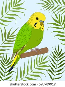 
Green bird in leaves. Small cute parrot. Summer vector background with parrot.Budgerigar australian parakeet