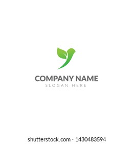 Green bird logo template vector design