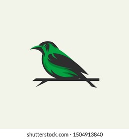 green bird logo - vector illustration of design on a light background