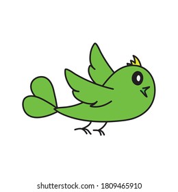 Green bird on white background
