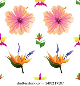 Green bird of paradise. Pink Orchid. Pink Hibiscus. Orange Strelitzia. Vector illustration. Seamless background pattern. Floral botanical flower. Wild leaf wildflower isolated. Exotic tropical.